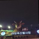동우한우