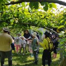 세종도원초등학교 이미지