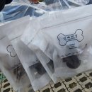 반려반상 이미지