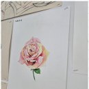 꿈나무미술학원 | 충북혁신미대입시 디자인 꿈나무, 청주대학교 합격 후기