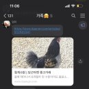 대영자동차유리 - 청주시 흥덕구 1순환로 396 | 대영자동차유리