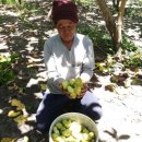 (주)슈퍼플래닛 이미지