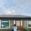 비비엔다 제주 이미지