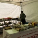 실크로드 | 경주 가을 축제 11월 행사 K실크로드 누들페스타 후기 주차