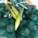 청호민박 이미지