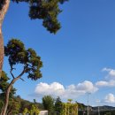 성보촌야외수영장 이미지