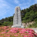 클럽하우스홀 이미지