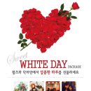 (주)닥터만커피