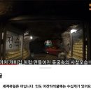 노루모TV