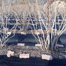 목골농장 이미지