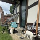 임이랑 농장 이미지