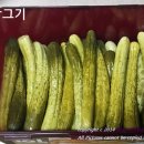 오이지 티스토리