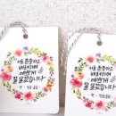 프롬미니플라워 이미지