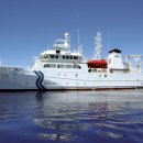 대양전장 이미지