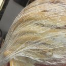 스케치 | 문학동 미용실 <스케치 헤어> 후기