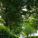 현지목장 이미지