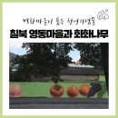 삼월리마을회관 | 벽화마을이 품은 천연기념물 칠북면 영동마을과 천연기념물 회화나무