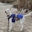 태산동물병원 이미지