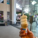 DQ소프트 이미지