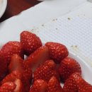 양학농장 네이버블로그