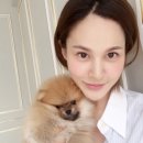 아이비