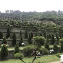 자연장지 이미지