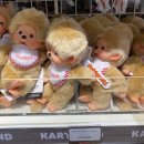 캐리영어 | 라부부 안 샀는데 이건 샀다 | 신사 캐리마켓 몬치치 팝업 후기
