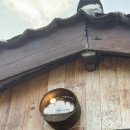 호텔 이비스앰배서더 인사동 | 익선동 줄서서 먹는 소금빵, 자연도 소금빵 찐솔직후기,,( + 호텔 이비스 앰버서더 인사동 짤막한 후기)