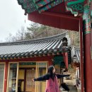 24년 3월 첫째주: 템플스테이, 스플렌더 중독자 🎱🕹️