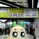 양파스토어