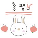 오마이쭈꾸미 이미지