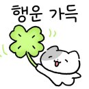 다검에스테틱