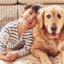 에이드동물병원 이미지