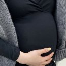 조이블룸 이미지