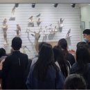 인천야생동물구조관리센터 | 인천시, 야생 생물 진료 참관·먹이 급여 등 실습형 교육...‘생명존중’ 생태 감수성 향상