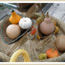 용덕농장 이미지