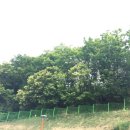 은하수당구장 이미지