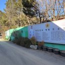 우미대가왕쭈꾸미 네이버블로그