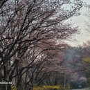 장어본부 이미지