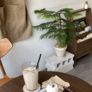 쌍촌동 오월어린이 공원 | 광주 쌍촌동 카페 일밀 케이크가 맛있는 감성카페