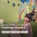 해시계광장 | 국립중앙박물관 어린이박물관 후기 | 예약 꿀팁부터 전시 관람 포인트까지