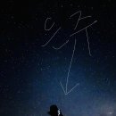 행복한고기마을민락2지구점 | 시드니 5박7일 여행 DAY 2 : 시드니 브런치 카페 Two...트립 추천/페더데일 동물원/링컨스락 제니 포인트
