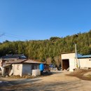 도성1리마을회관 티스토리