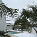 서유의섬 이미지