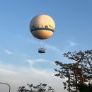 하늘을 날다 | [수원] 수원의 하늘을 날다, 플라잉 수원 정보/후기