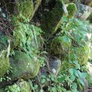 로그인PC 이미지