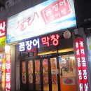 불티꼼장어
