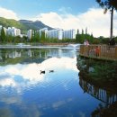 금관대로1368번길 이미지