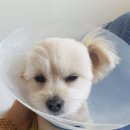 이윤세동물병원 이미지