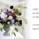 플라워레슨바이엘리